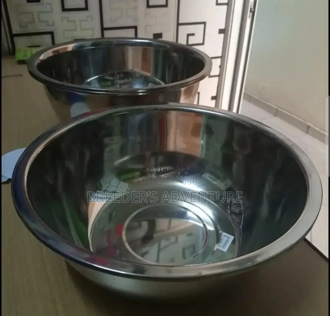 Dog Plates