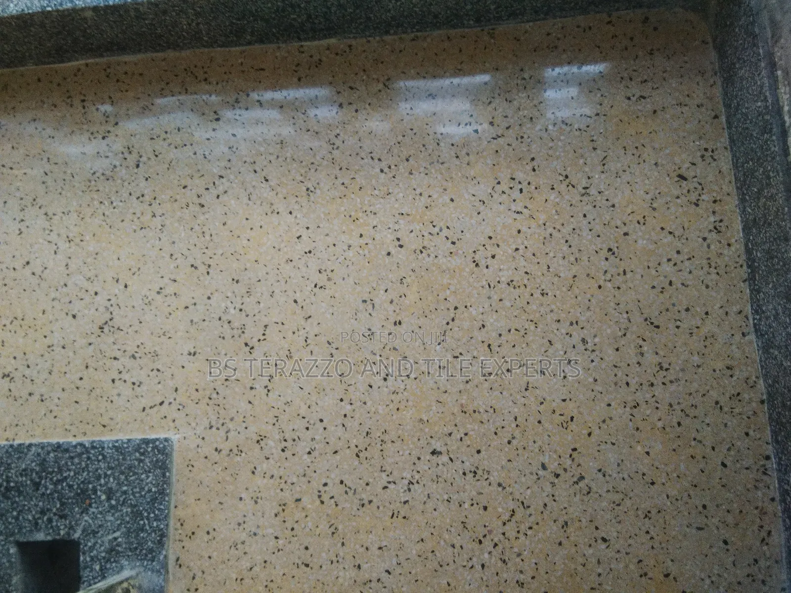 Bs Terrazo Experts303