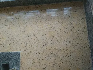 Bs Terrazo Experts303