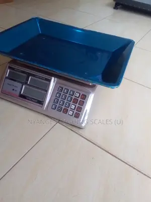 Accurate Weigh Poultry Farm Weighing Scale 60kg Digital Weighing Scale