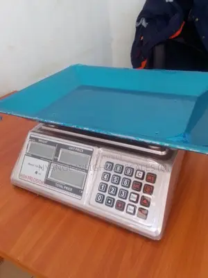 Portable Electronic Weighing Scale 60kg Weigh Digital Weighing Scale