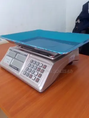 Electronic Weighing Scale 60kg Digital Weigh Poultry Farm Weigh Scale