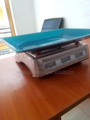 Wholesalers Digital Weighing Scale Shop 60kg Electronic Weighing Scale