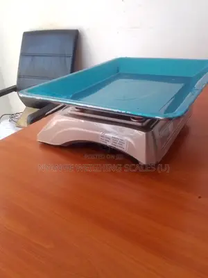 Brand New Weighing Scale Poultry 60kg Weigh Accurate Weighing Scale