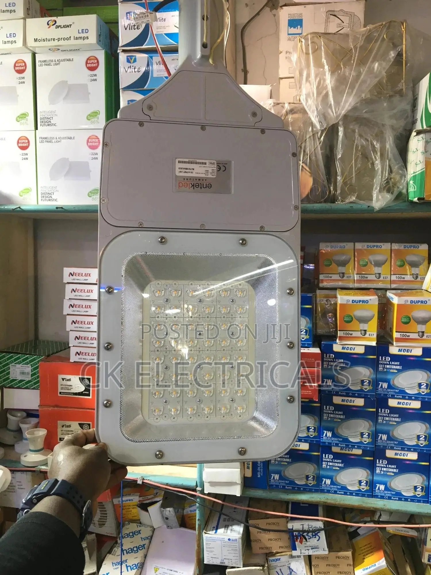 Flood / Security Light
