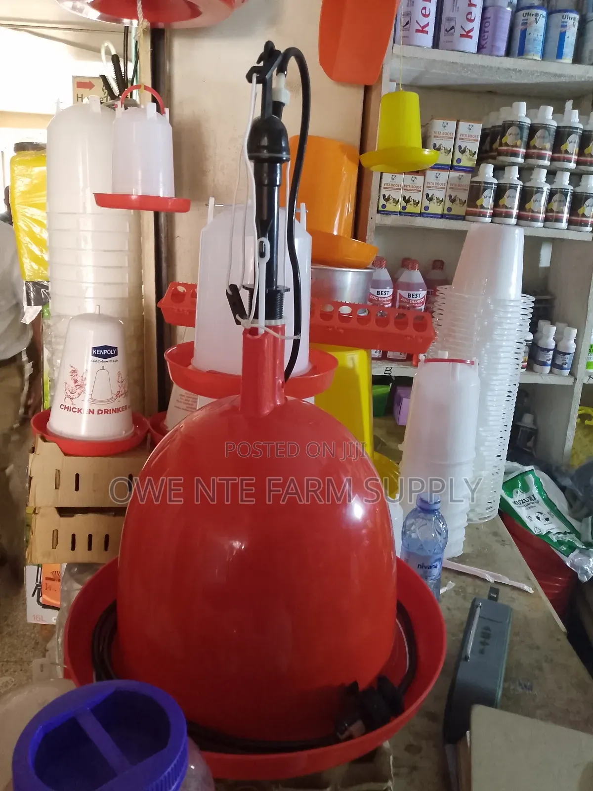 Automatic Poultry Drinker