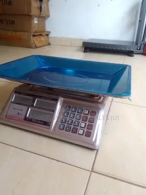 Counter Digital Weighing Scale Farm 60kg Weigh Feeds Weighing Scale