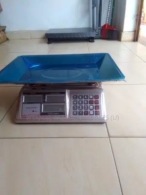 Standard Weigh Packing Food Weighing Scale 60kg Digital Weighing Scale