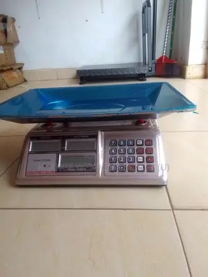 Balance Weighing Scale 60kg Digital Poultry Farm Weighing Scale