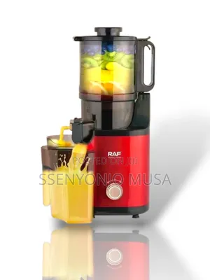 Raf Apple Slow Juicer R.2807 – Commercial Retaining Juicer Multicolour
