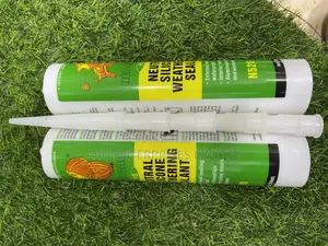 Silicon Tubes