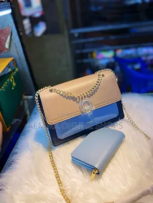 Avior Leather Chain Strap Hand Bag
