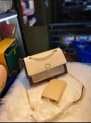 Avior Leather Chain Strap Hand Bag