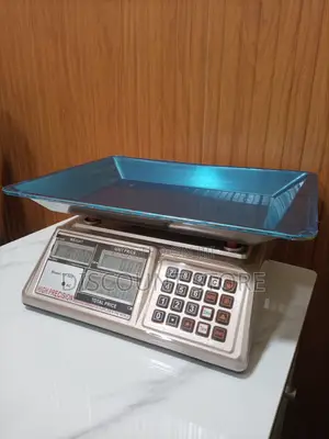Digital Weighing Scale Farm Weigh Scale Weighing Scales 60kg Digital
