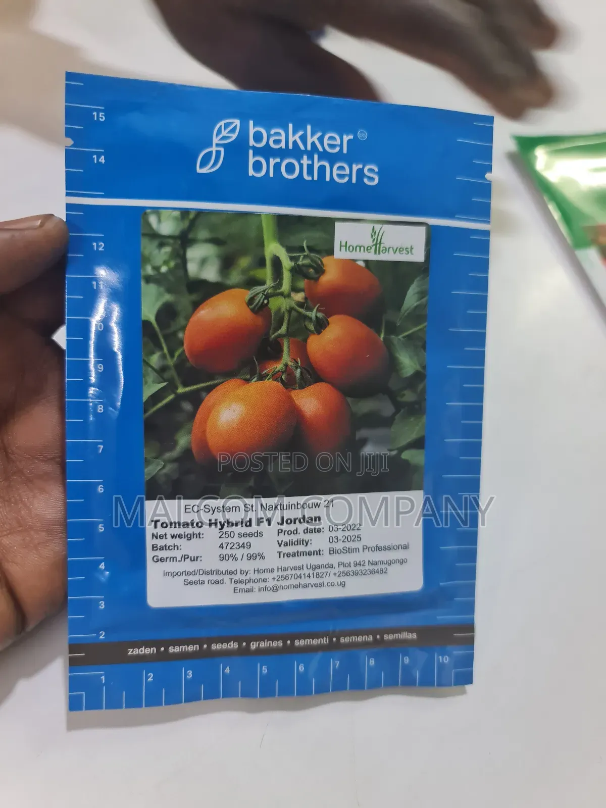 Creeping Hybrid Tomatoes Seeds 10g
