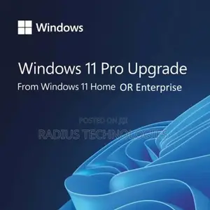 Upgrade Windows 11 Home/Enterprise to Windows 11 Pro