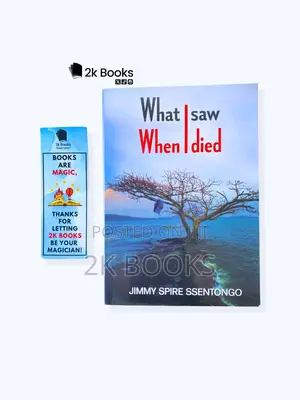 What I Saw When I Died by Dr Jimmy Spire (Original)