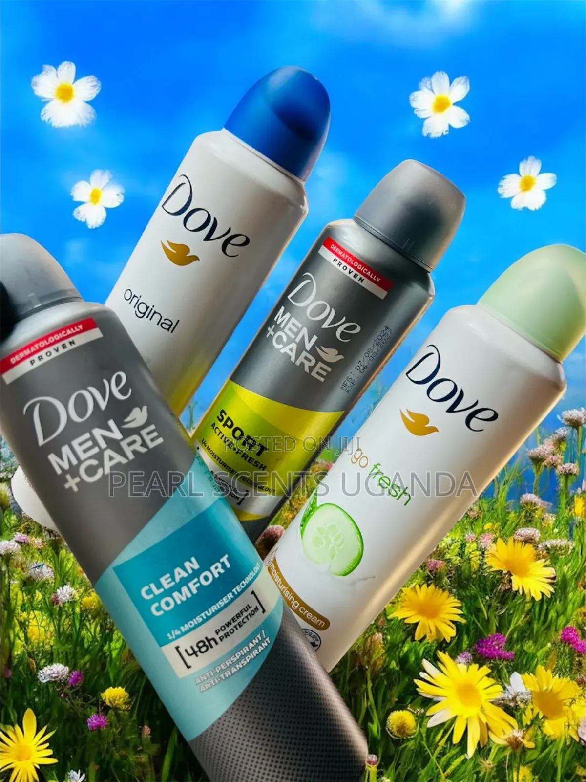 Dove Sets of 4pcs