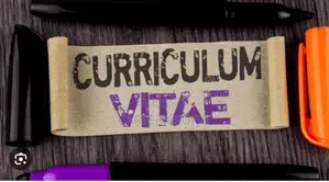 Curriculum Vitae / Resume Writing Expert