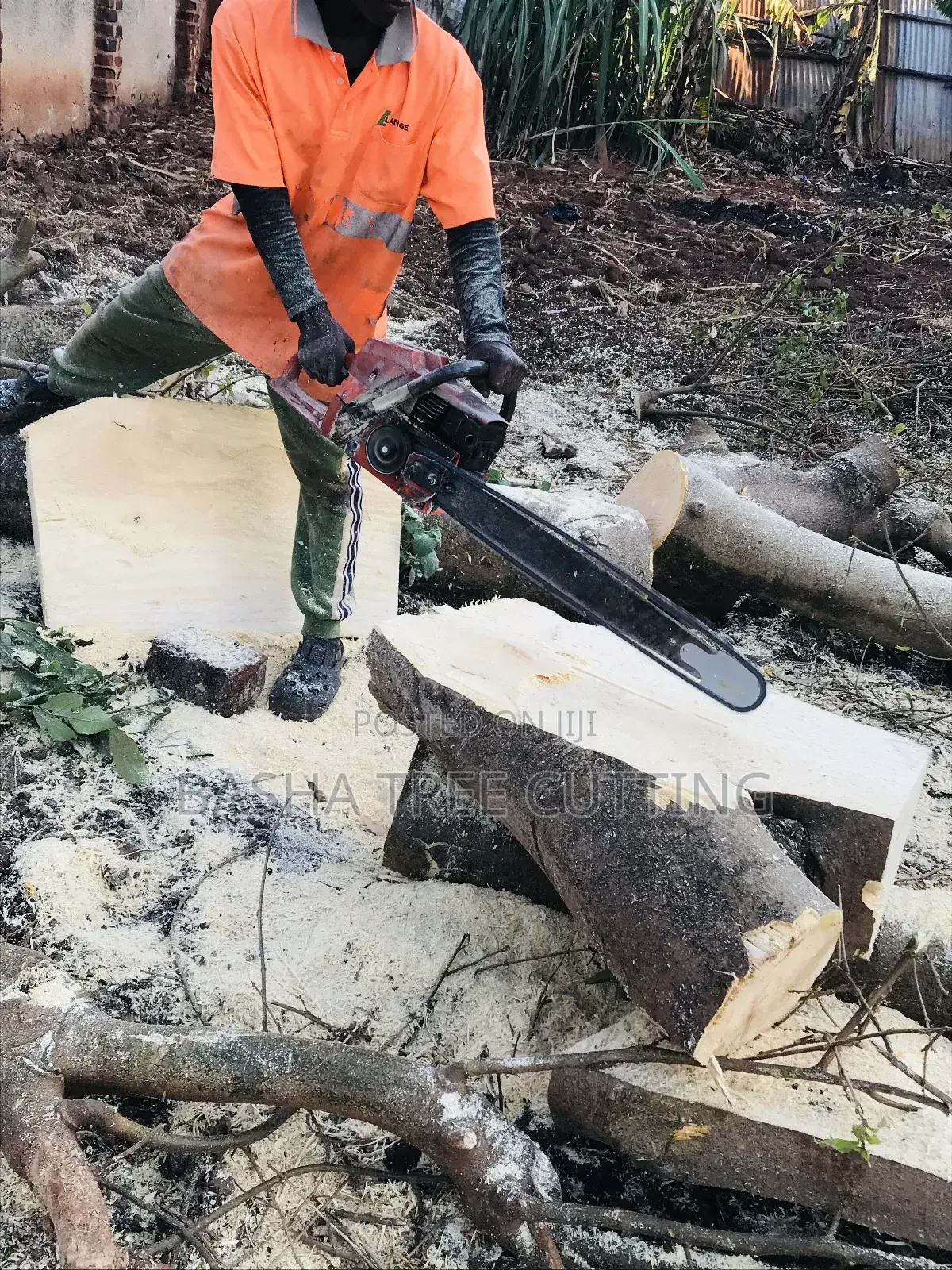 Cutting Trees Services