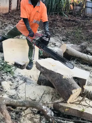 Cutting Trees Services