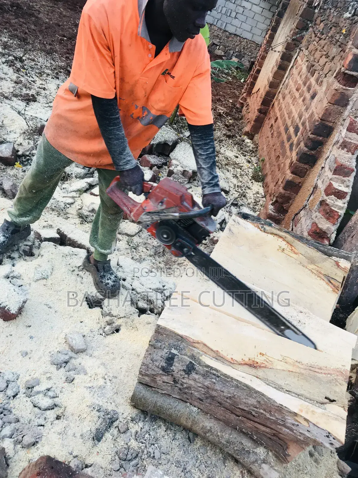 Cutting Trees Services