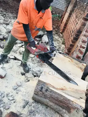 Cutting Trees Services