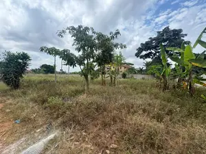 Buwate Kungu Plots