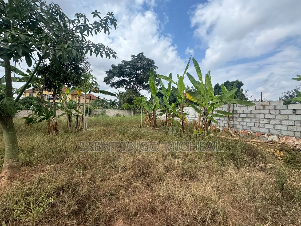 Buwate Kungu Plots
