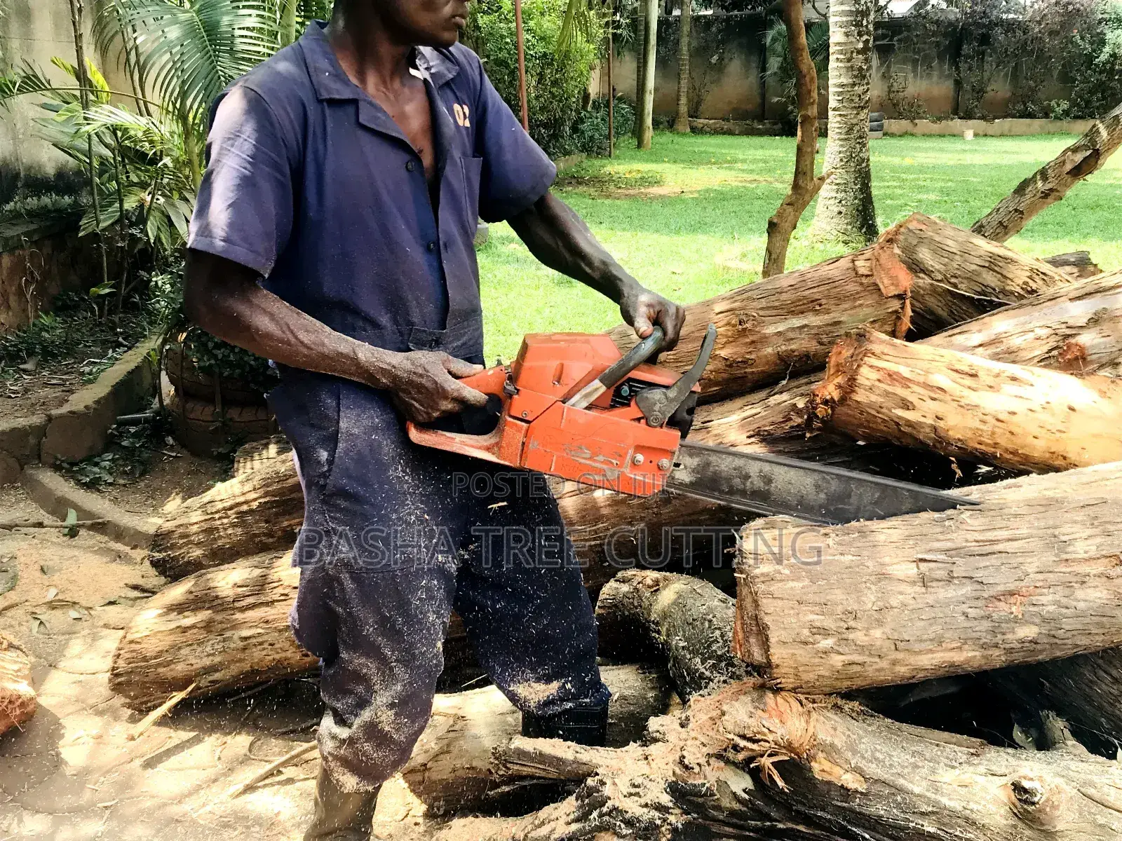 Cutting Compound Trees