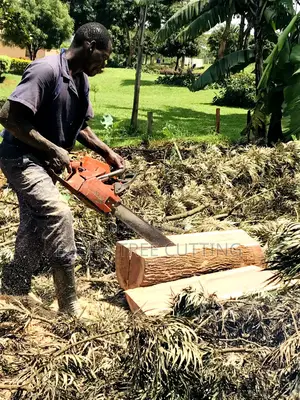 Tree Cutting Services