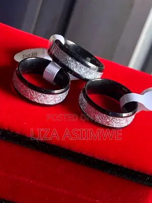Men's Black Meteorite Rings