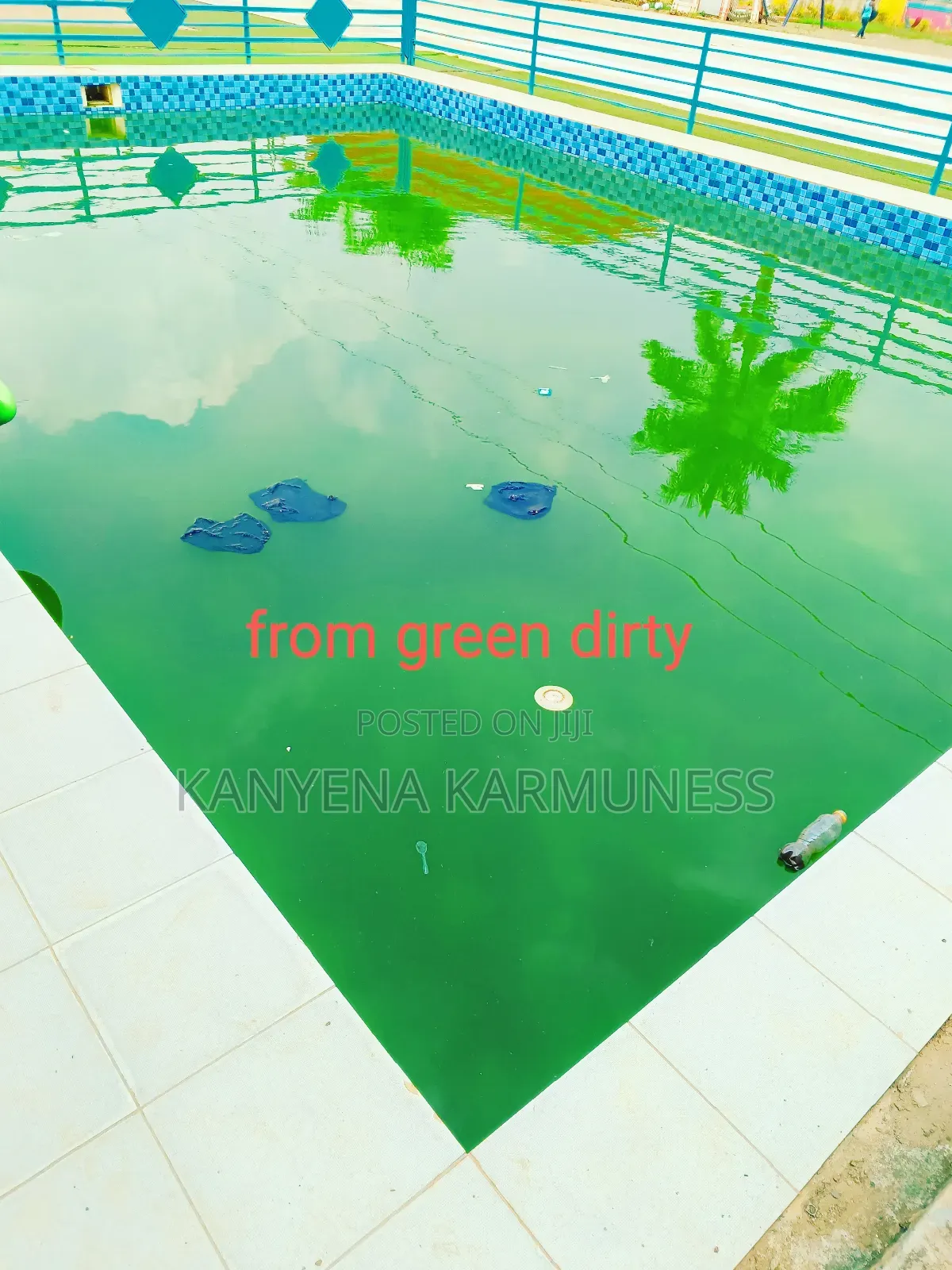 Swimming Pool Cleaning and Maintenance