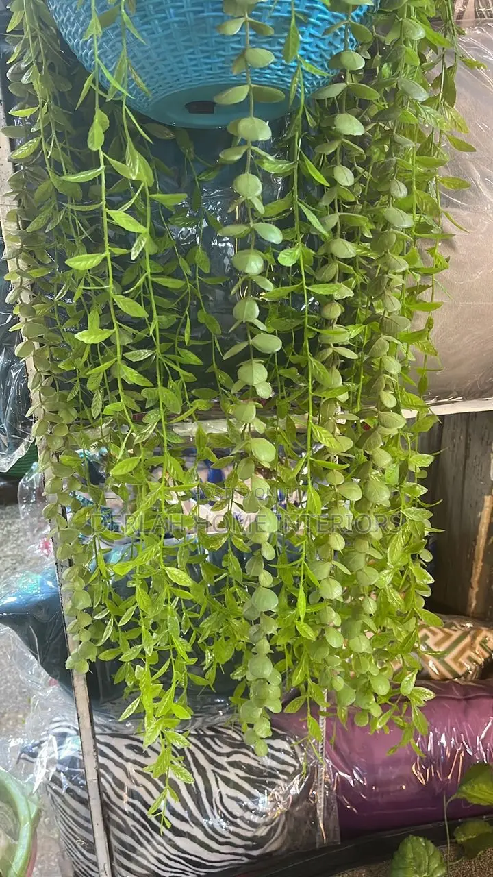 China Imported Swinging Plants