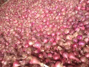 Onions Broker Bumbo Market Mbale