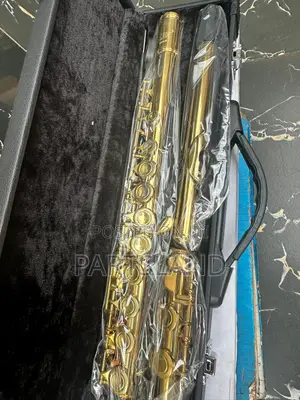 Professional Flute