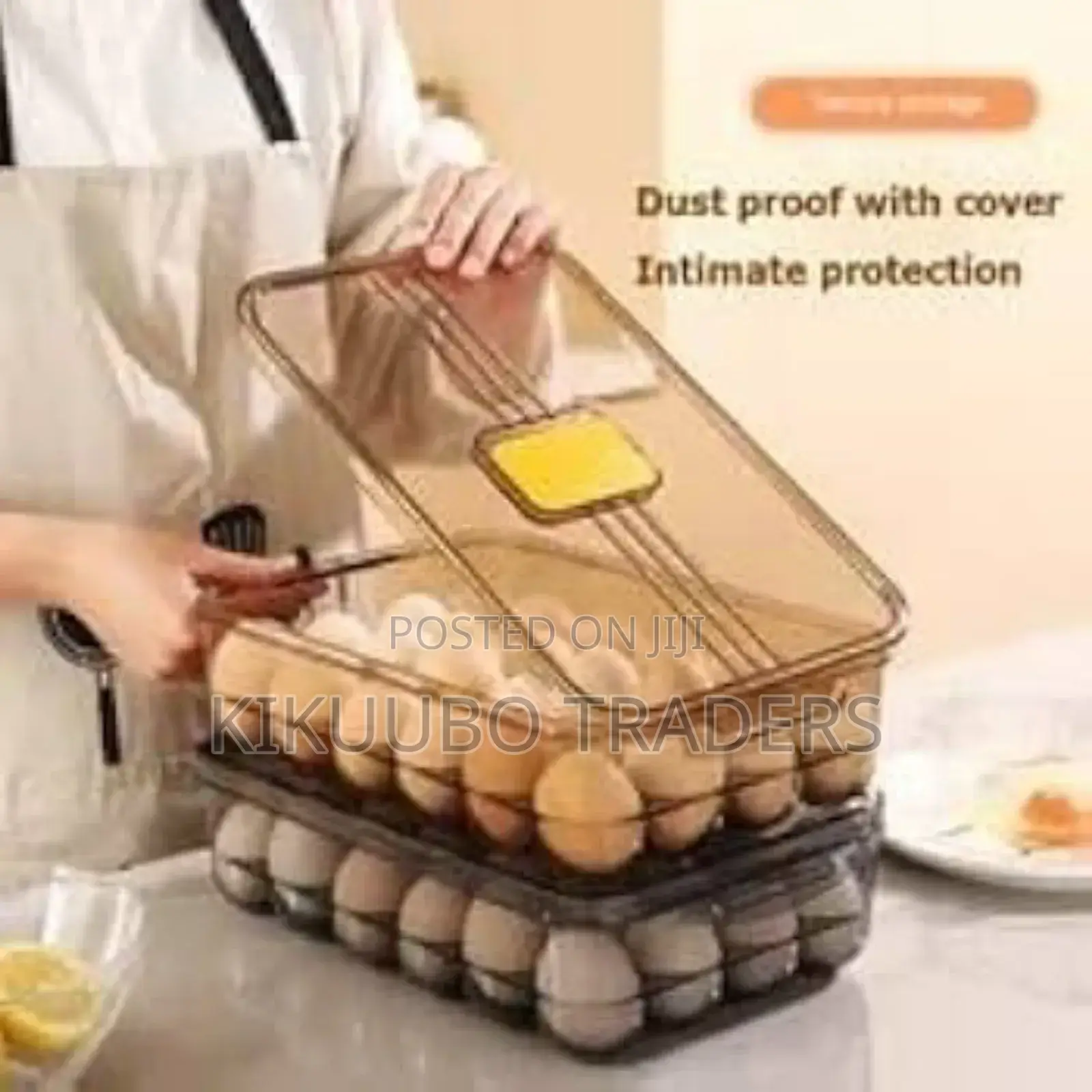 24 Grid Transparent Egg Storage Box