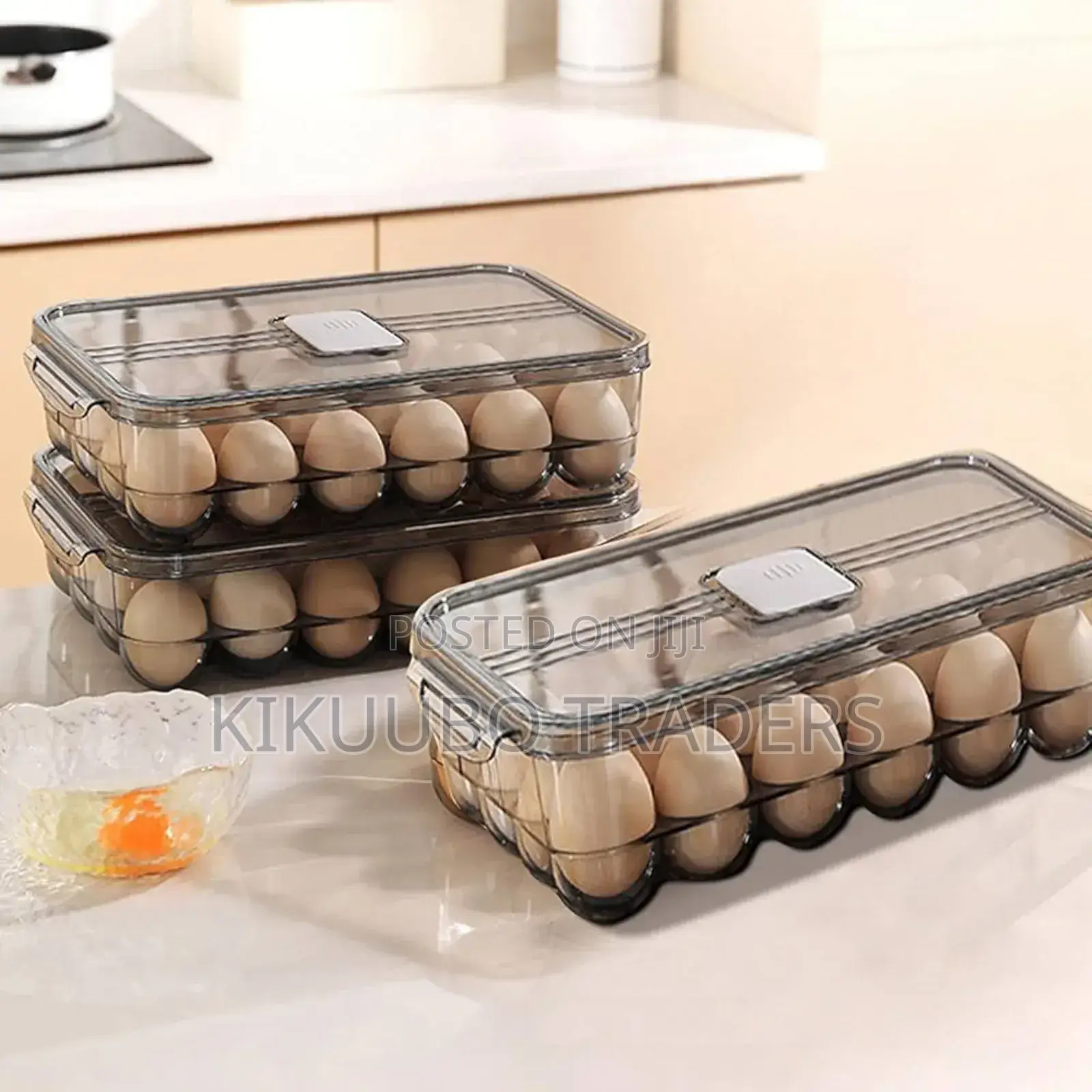 Egg Storage Box