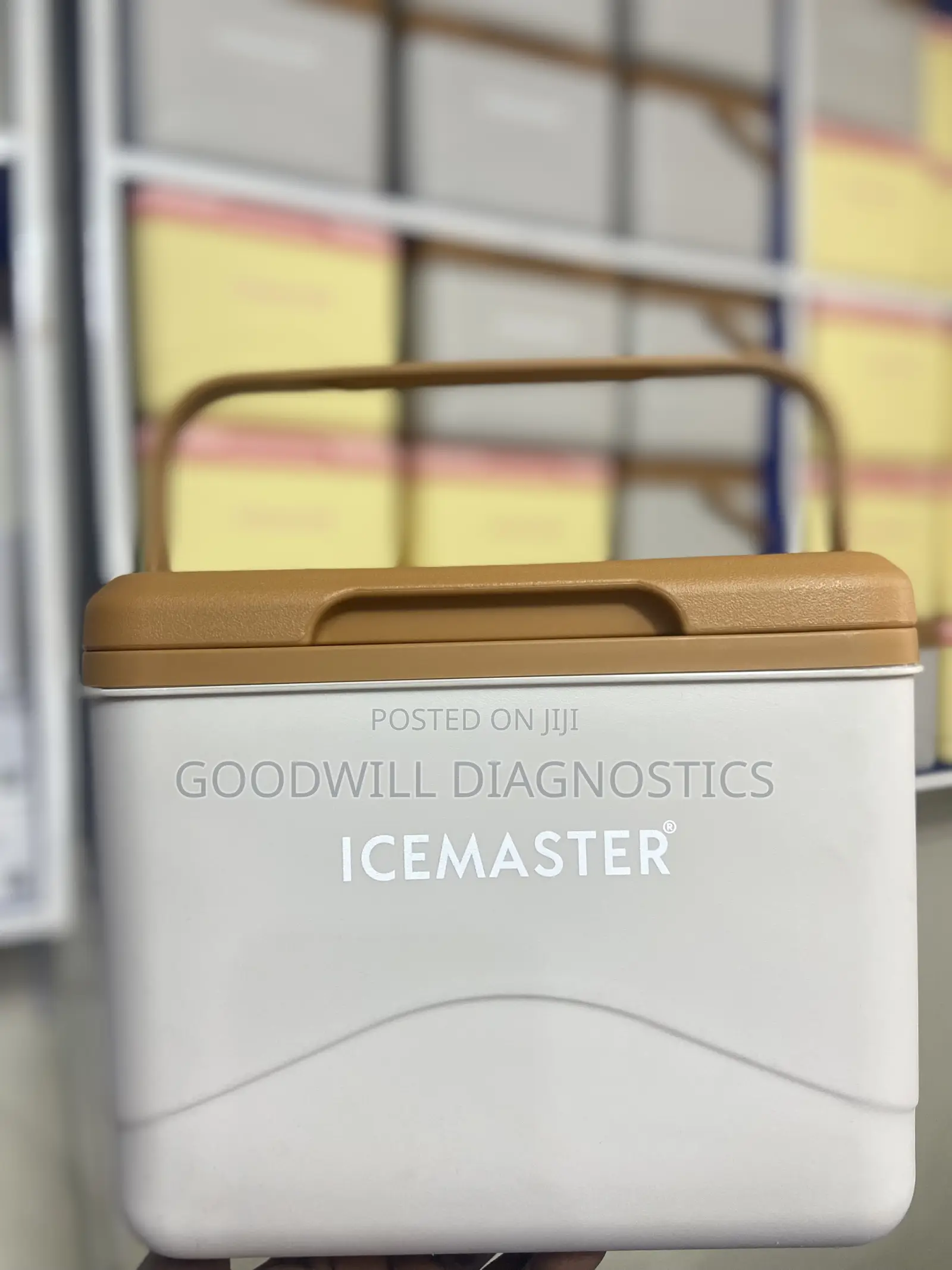 Vaccine Carrier Ice Master
