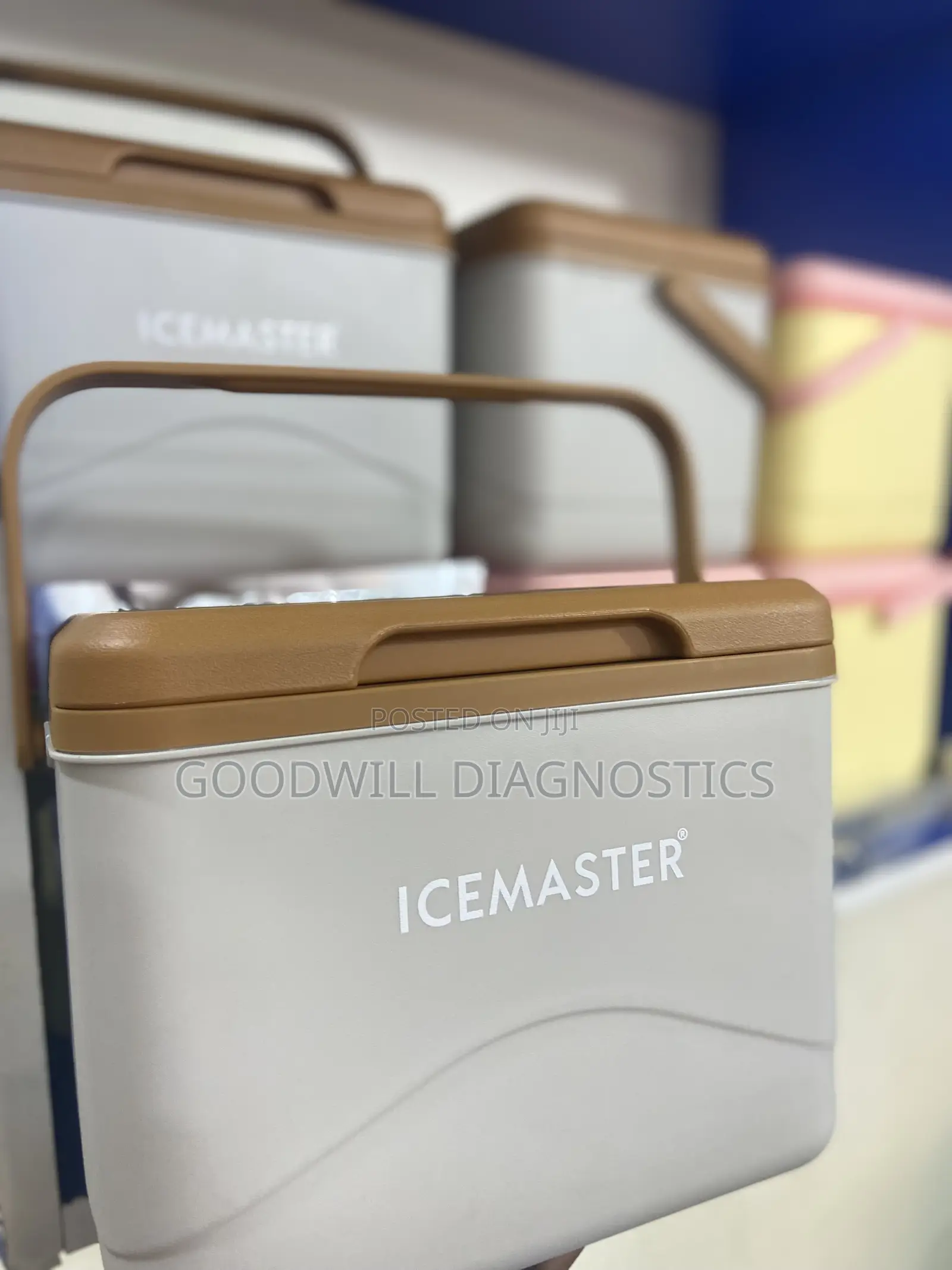 Vaccine Carrier Ice Master