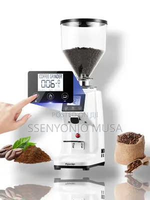 Flyseago Commercial Coffee Grinder