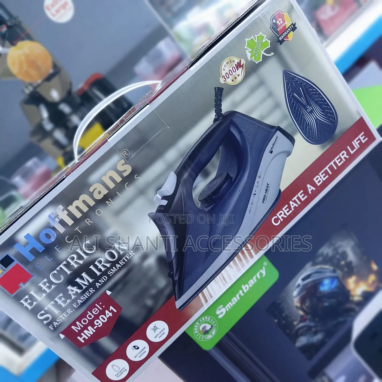 Dry and Wet Ceramic Steam Iron Hoffman