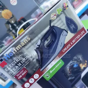 Dry and Wet Ceramic Steam Iron Hoffman