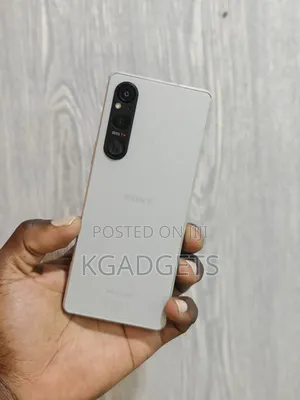 Sony Xperia 1 V 256 GB Gray