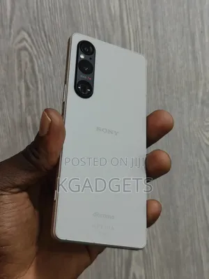 Sony Xperia 1 V 256 GB Gray