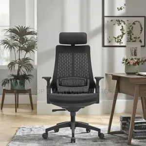 Ergonomic High Back Office Chairs Office Chairs