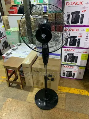 PTL Stand Fan