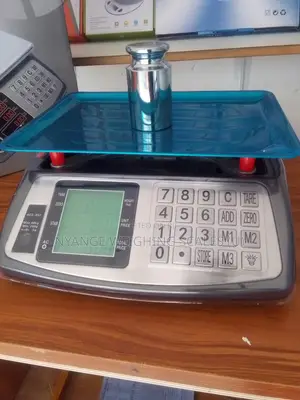 Digital Weighing Scale 40kg Weigh Dual Display Digital Weighing Scale