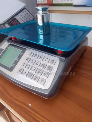 Pricing Weighing Scale 40kg Weigh Dual Display Digital Weighing Scale