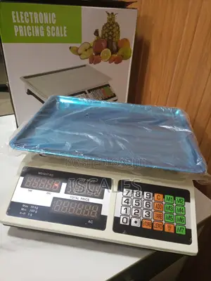 Digital 30kg Weigh Electronic Weighing Scales Flour Weighing Scale